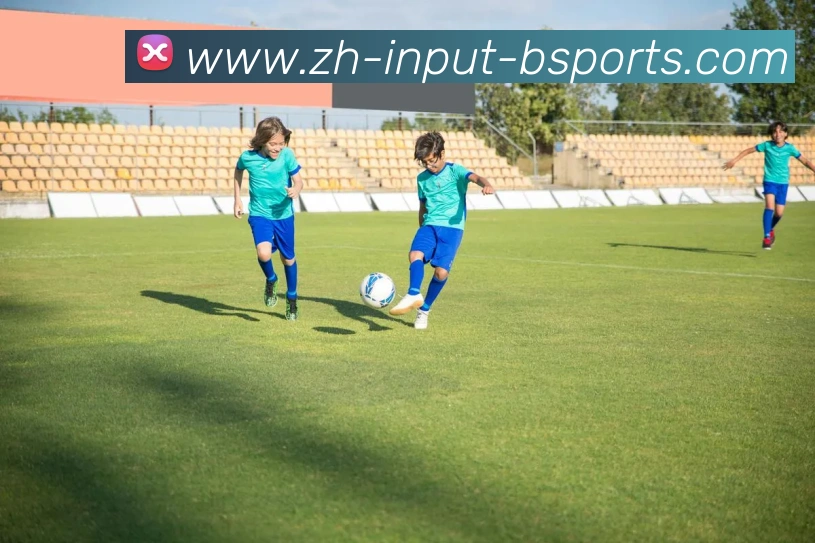 B体育APP 封面图